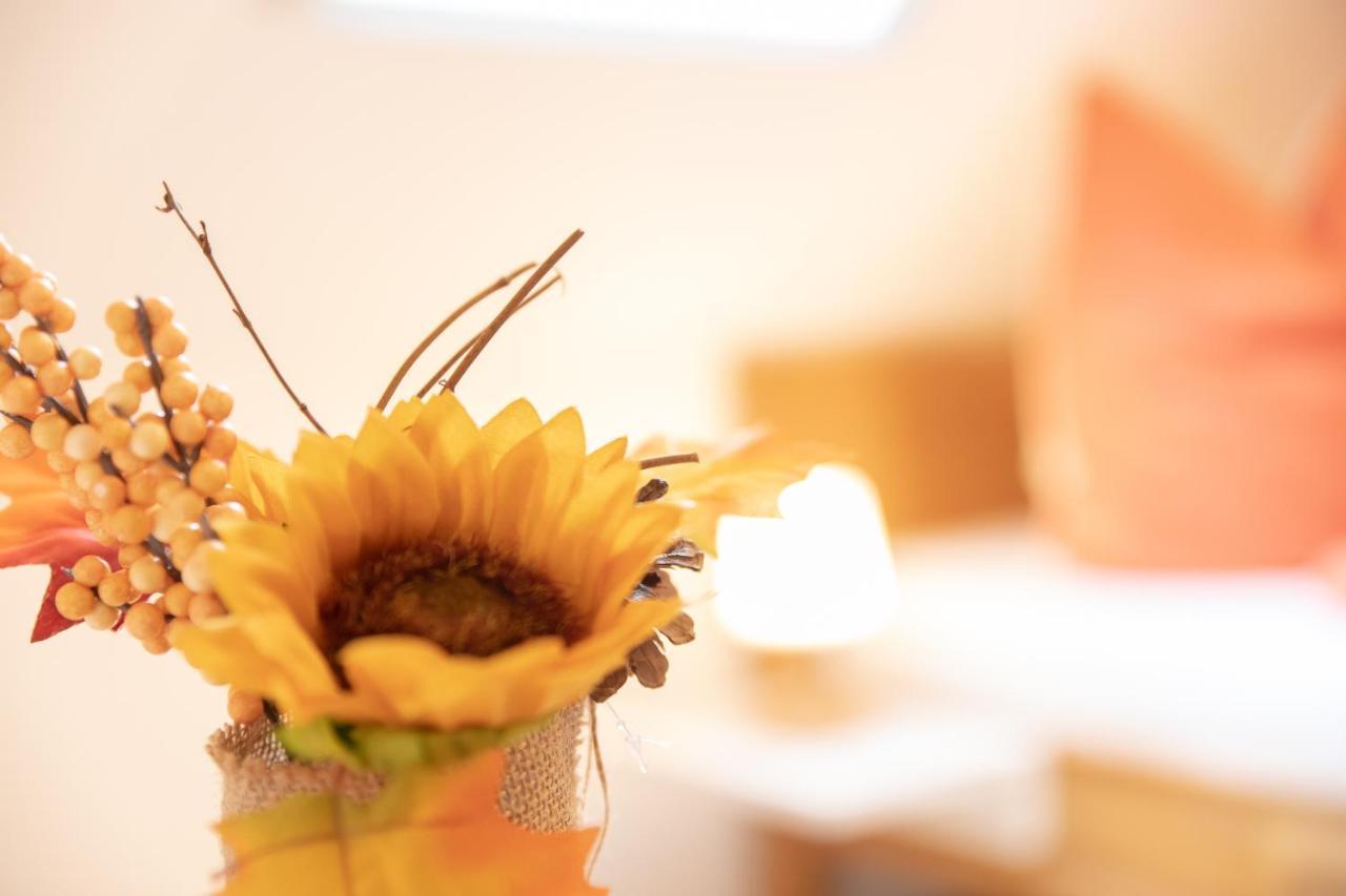 Haus Rosy Ferienwohnung Stubenberg Zewnętrze zdjęcie