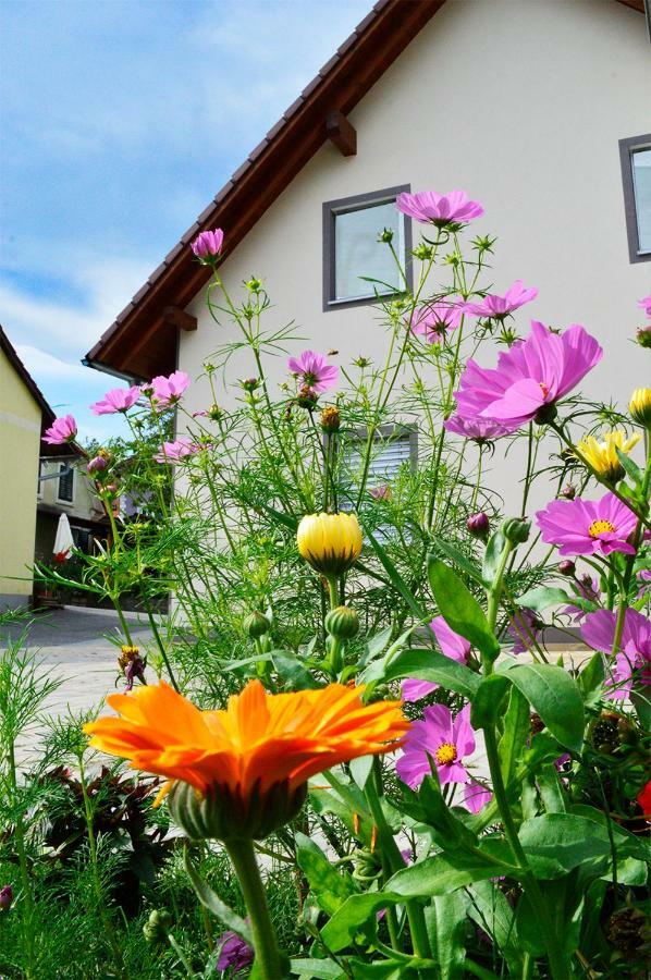 Haus Rosy Ferienwohnung Stubenberg Zewnętrze zdjęcie